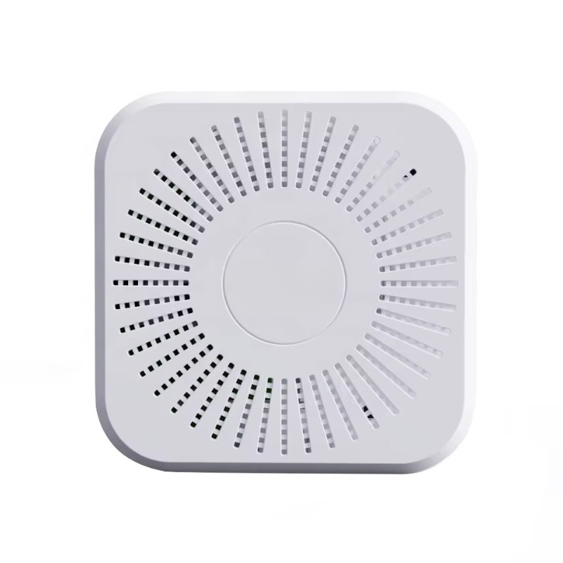 Vaping Air - LoRaWAN WiFi 4G 공기질 모니터링 센서